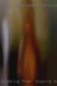 Breaking free & dipping mature in.