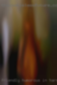 Friendly, humorous in Harrisburg PA, with wife good stamina.